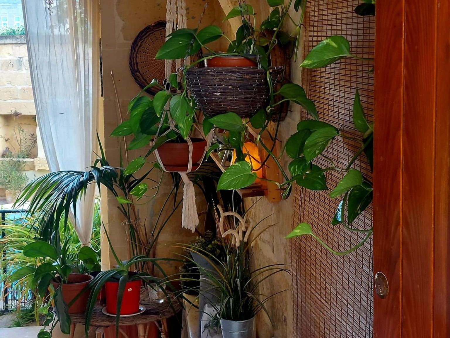 Ta' Didi B&B Kercem Экстерьер фото